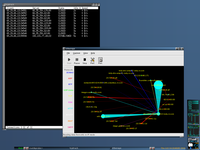 Network Monitor: Running TcpTrack and Etherape